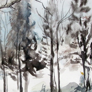 Appalachian Winter - Aquarell - 56x45 cm.